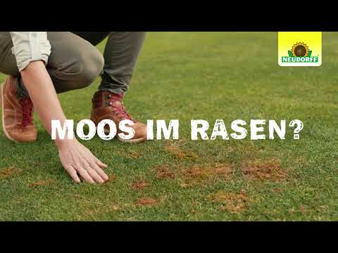 Neudorff RasenDünger SPEZIAL mooslos glücklich