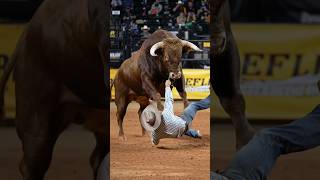 Download lagu Bull vs Cowboy! Rider Launched Sky High 🤠🐂 #shorts mp3 Download lagu Bull vs Cowboy! Rider Launched Sky High 🤠🐂 #shorts mp3