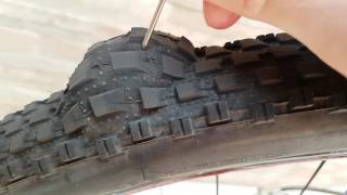 Maxxis tire blister