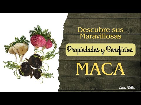 STARBIEN omnilife con maca Peruana y complejo b - Apoya la salud del Cerebro - la salud masculina y femenina - ademas ayuda al sistema inmunologico 7 Propiedades y Beneficios de la Maca - Fertilidad