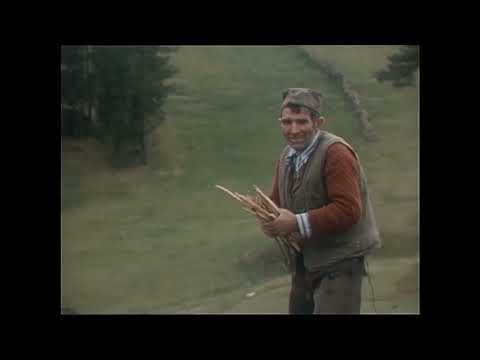 Ljudi govore - Poslednji zlatiborski katrandžija (TV Beograd, 1980.)