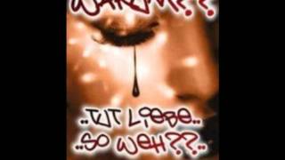 Nicki - Du brichst mein Herz entzwei ( + lyrics)