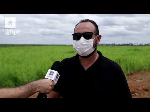 RADAR RORAIMA #3: NADSON PINHEIRO - PRESIDENTE DA COOPERCARNE