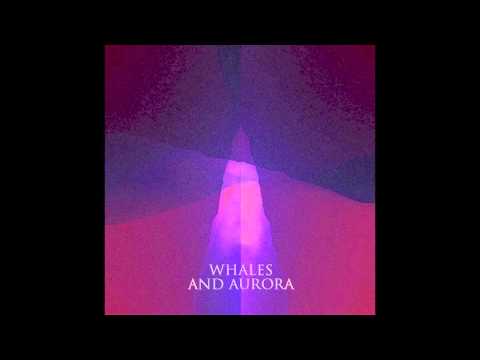 Whales and Aurora - Haunted by Coyotes