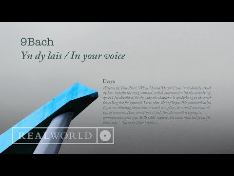 9Bach - Deryn (Yn dy lai / In your voice version) feat. Peter Gabriel