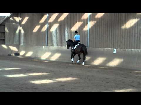 Avagon / MatchoAA 2009*