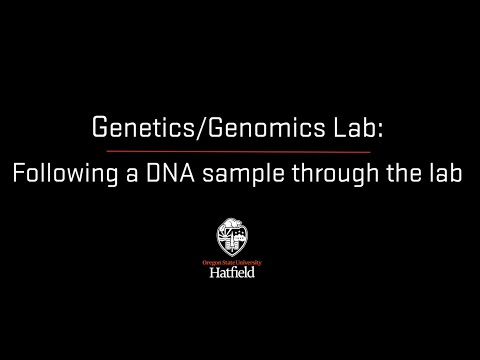 Genetics follow sample thru lab