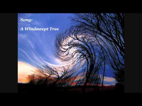 NOMIA - A Windswept Tree