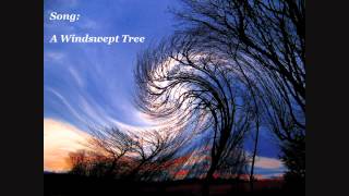 NOMIA - A Windswept Tree