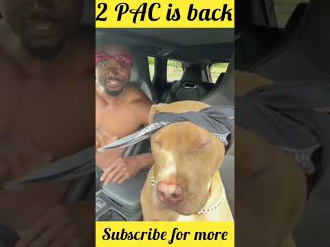 Tupac is back - Dear Mama Remix Version. Anthony Hamilton#shorts