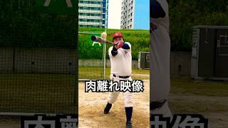 打撃練習で肉離れしちゃう草野球おじさん #shorts