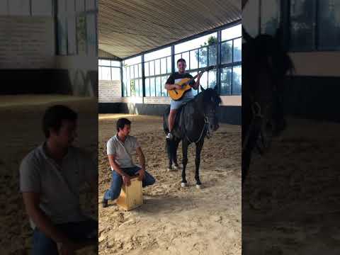 Comi lhe o melao Miguel Bravo