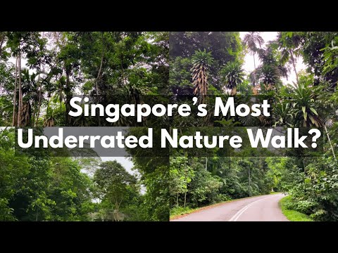 Is Chestnut Avenue Singapore’s Most Underrated Nature Walk?