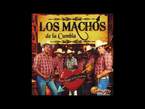 11- Aventura - Los Machos De La Cumbia (Audio Oficial)