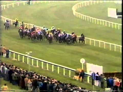 1984 Sun Alliance Hurdle Full Race Fealty Cheltenham