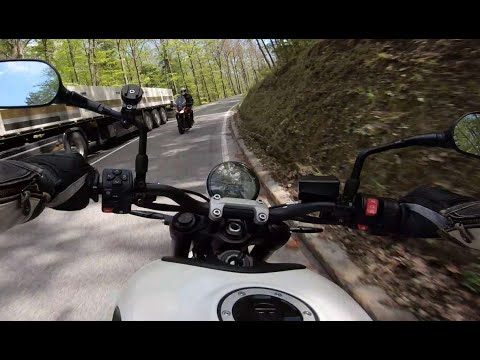 Voll im Gegenverkehr - keine gute Idee - Zonko staunt