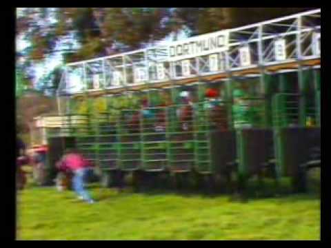 1983 St Leger Ordos mal wieder