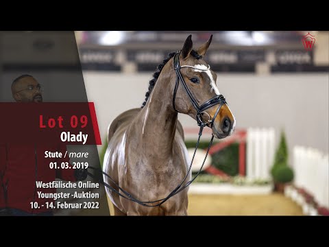 Online Youngster-Auktion Lot 9 Olady Stute v. Johnnie Walker VDL - Veneur
