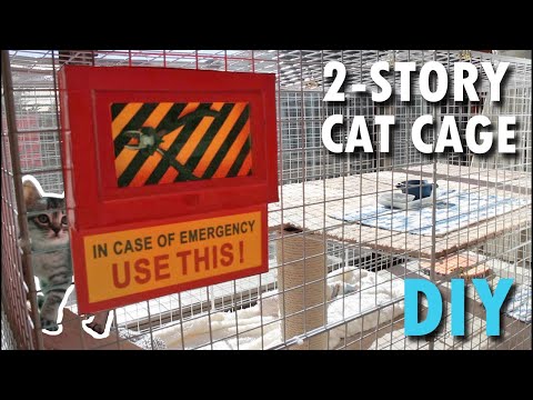 DIY New Cat Cage | 2-story house for Kitten