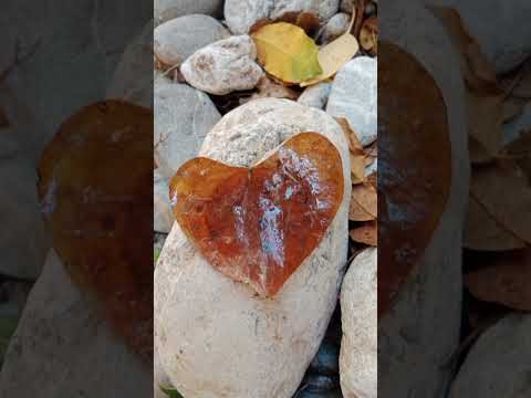 🇹🇷Doğal Kaynaklarımıza Sahip Çıkalım. Gelecek nesillerimiz de bundan faydalansın.🇹🇷