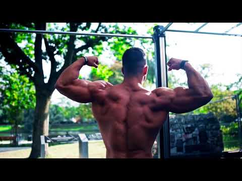 Dejan Stipke - Aesthetic and Strong (Workout Motivation)-2017