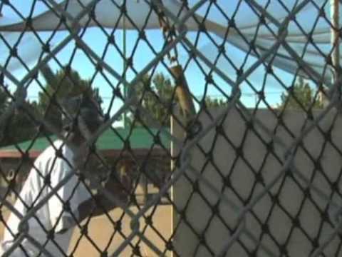 AND1 Mixtape Vol. 8 complete