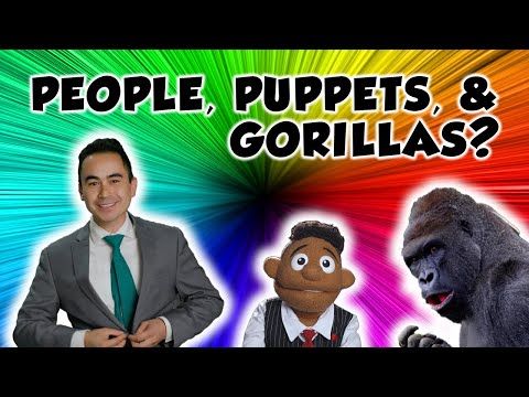 Witness21  2022 05 13