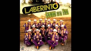 LABERINTO - EL GATO AMERICANO