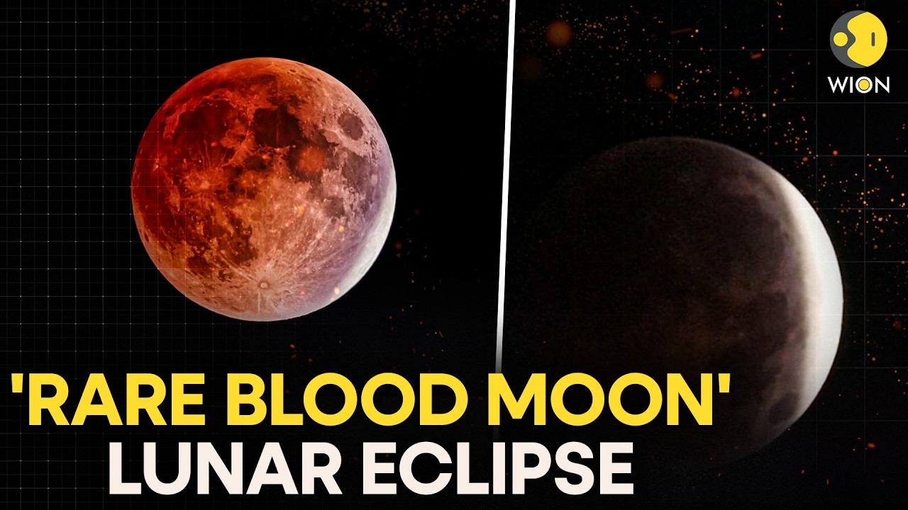 Lunar Eclipse LIVE: Rare Blood Moon Lights Up the Night Sky Stunning Skywatchers | WION Live