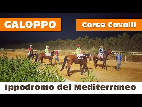 Corse cavalli di Galoppo del 26 Giugno 2021