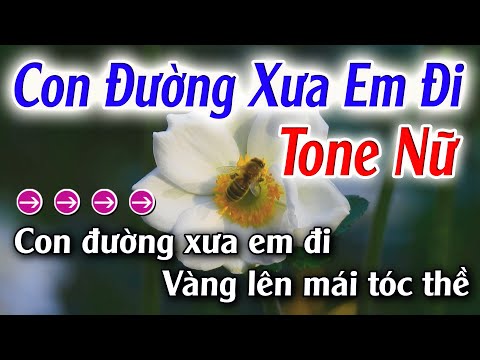 Con Đường Xưa Em Đi Karaoke Tone Nữ ( F#m ) Đăng Khôi Karaoke - Beat Hay Dễ Hát