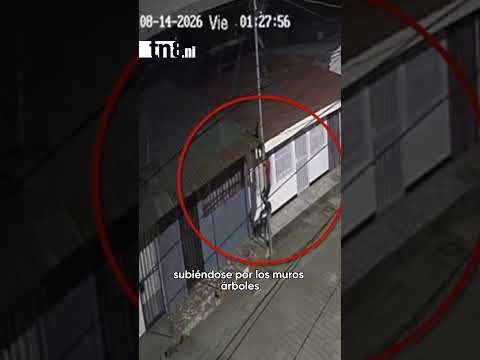 "Hombre Araña" de Ciudad Sandino es capturado