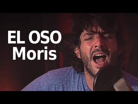 El Oso - Moris