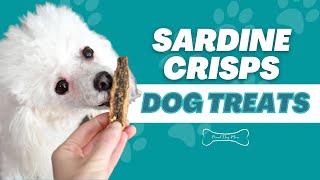 Sardine Crisps: A Healthy Single Ingredient Dog Treat | Proud Dog Mom