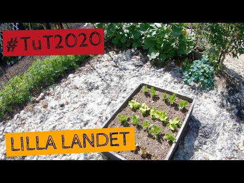 Lilla landet. Digital rundvandring - Tusen trädgårdar #TuT2020