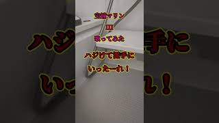 宝鐘マリンさんのIII歌ってみた #歌ってみた #III