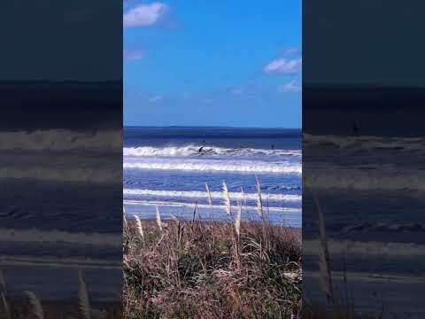 Playa la Aguada, La Paloma, Rocha.