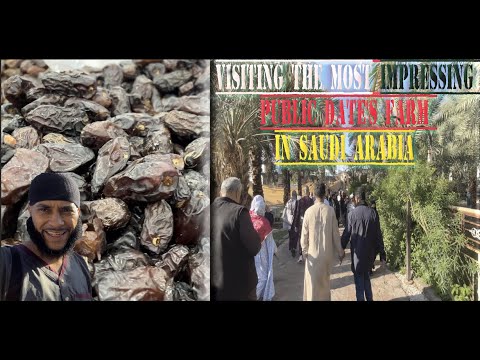 Visiting a Date Fruit Farm for the First Time in Medina, Saudi Arabia - Al Radadi Date Farm & Garden