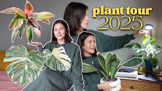Houseplant collection walkthrough 2025 | Every plant in my home!