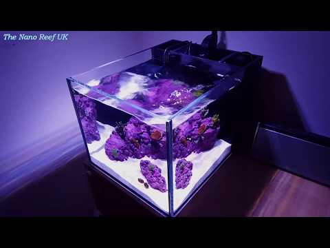 Nano SPS tank - The Nano Reef UK
