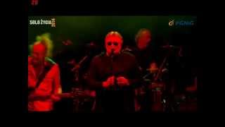 02 Memu miastu na do widzenia   koncert na festiwalu Solo Życia