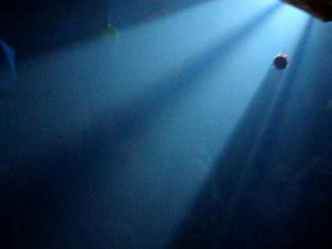 Shane Gobi in Corfu (Mother Earth party)