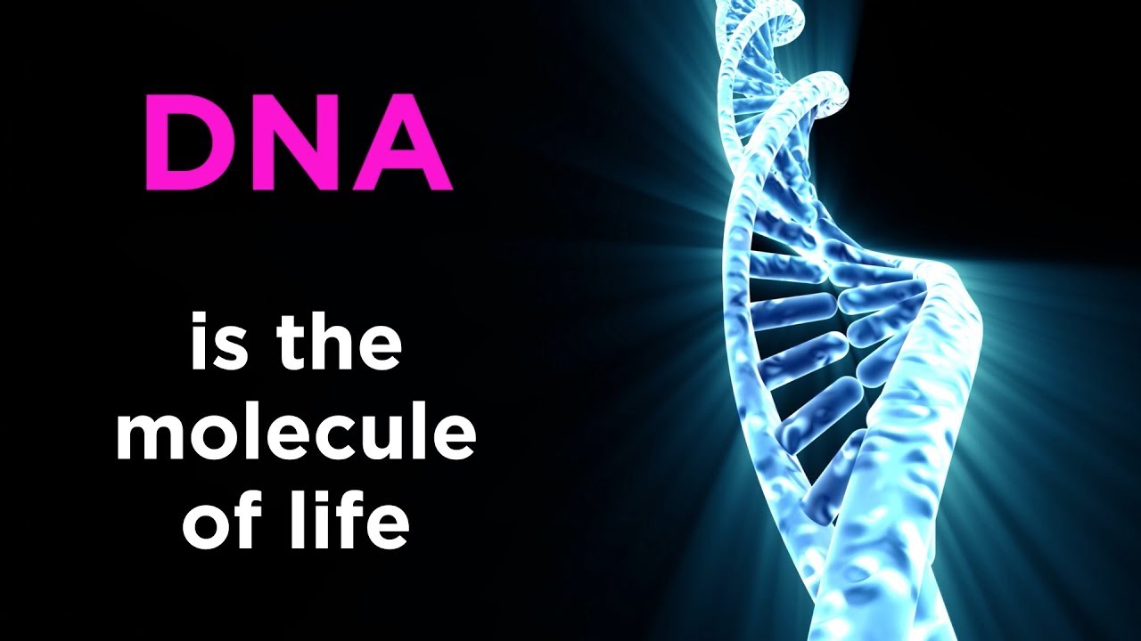 Introduction to Biology: What is Life?