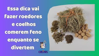 Vídeo de Feno Ball Surpresa para roedores e coelhos - Little Dreams