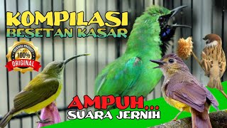 Download lagu MASTERAN BESETAN KASAR SUARA JERNIH ‼️ Pijantung Brinji Rambut Tungir dan Gereja Tarung mp3