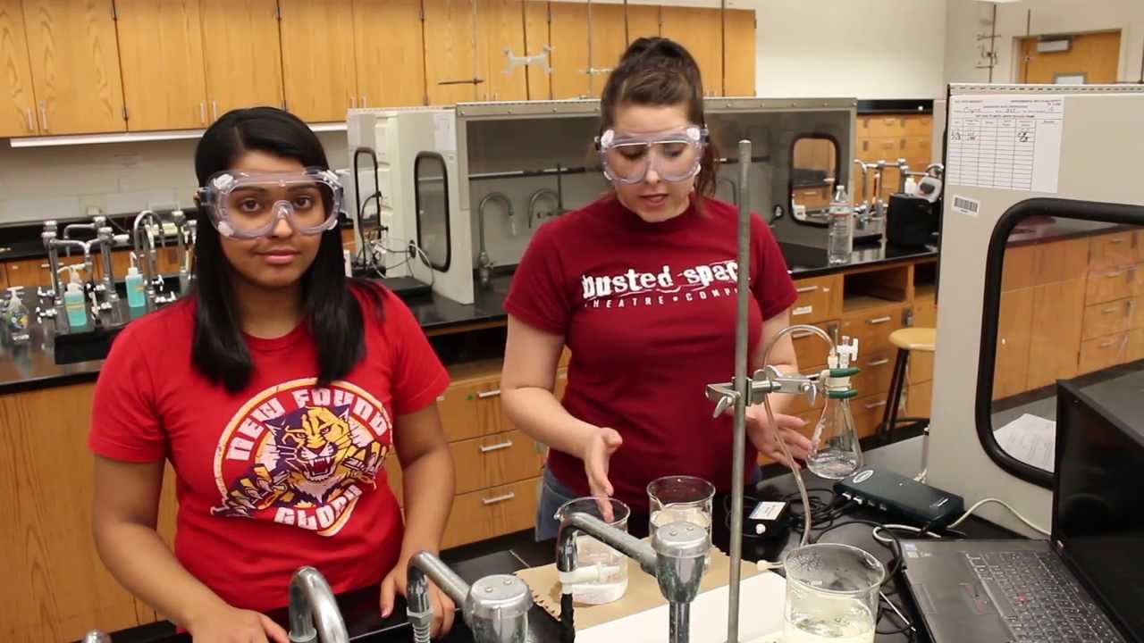 Lab 3 - Gas Laws - 101