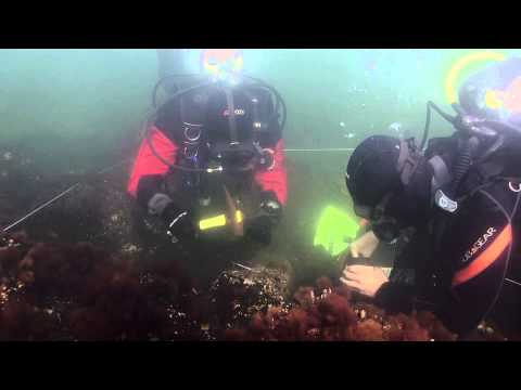 Vorbereitung für Messübungen, Warnemünde,westlich Hohe Düne,Mecklenburg-Vorpommern,Deutschland