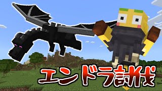 ハードコアでエンドラを倒したい【Minecraft / マイクラ】
