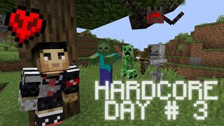A perfect day in Minecraft Hardcore..