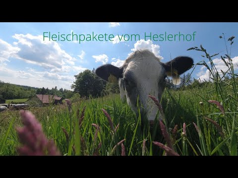 Rindfleisch Pakete vom Heslerhof